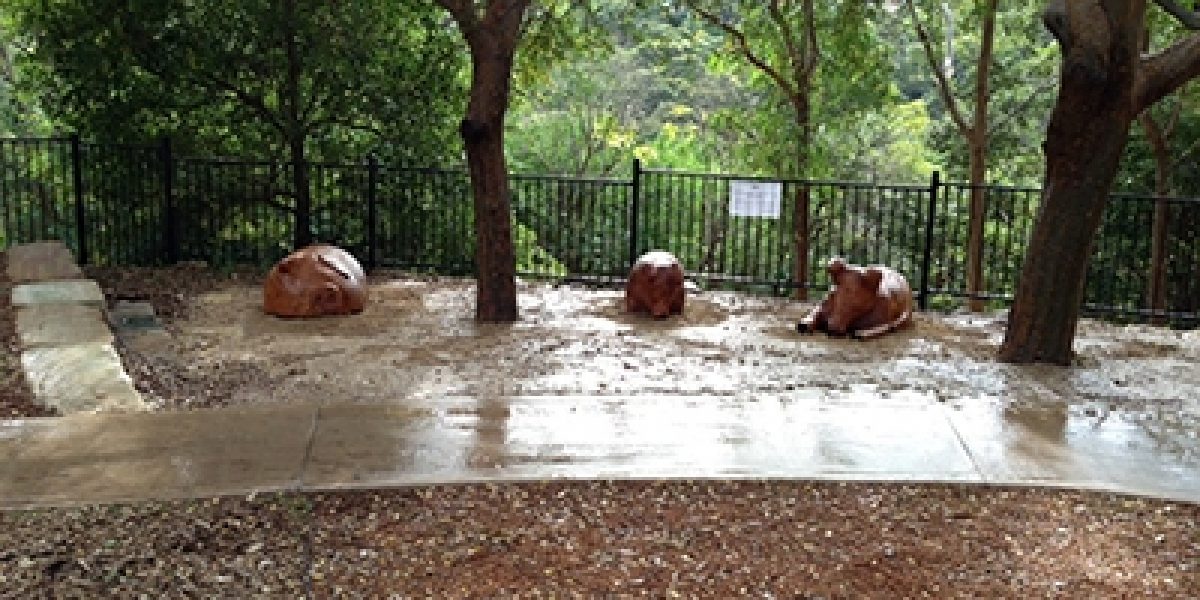 Dawson Park 1