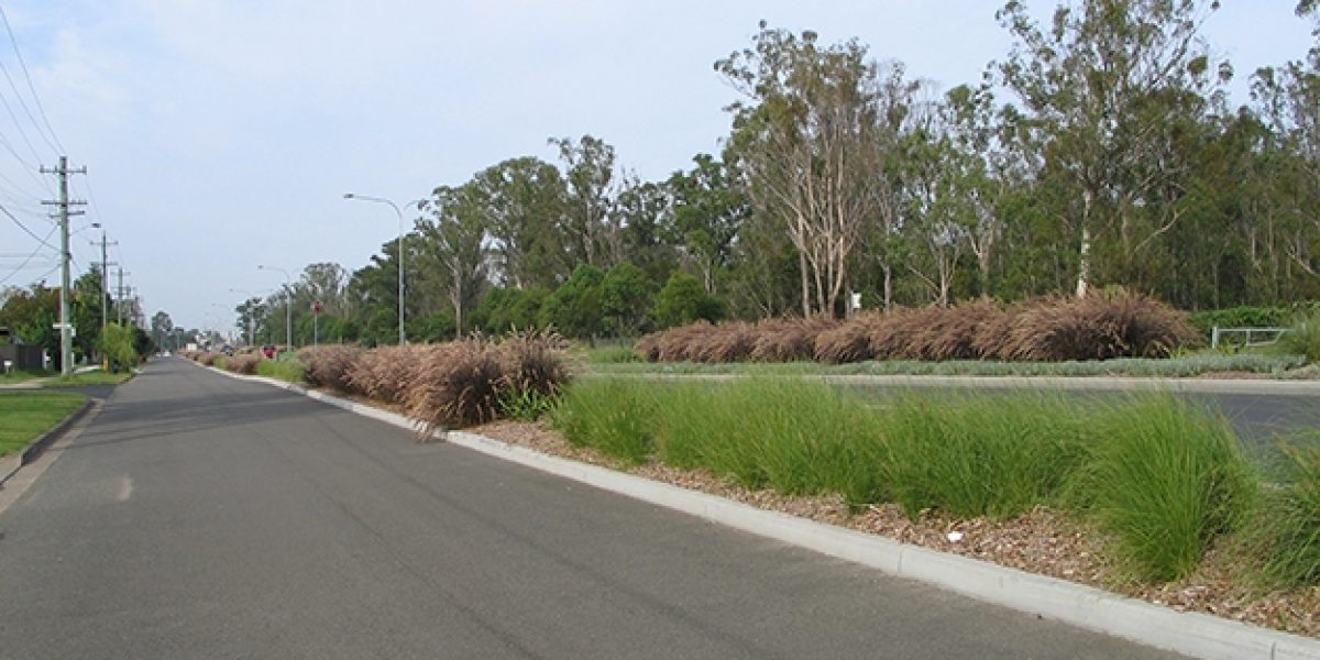 Knox Rd 5