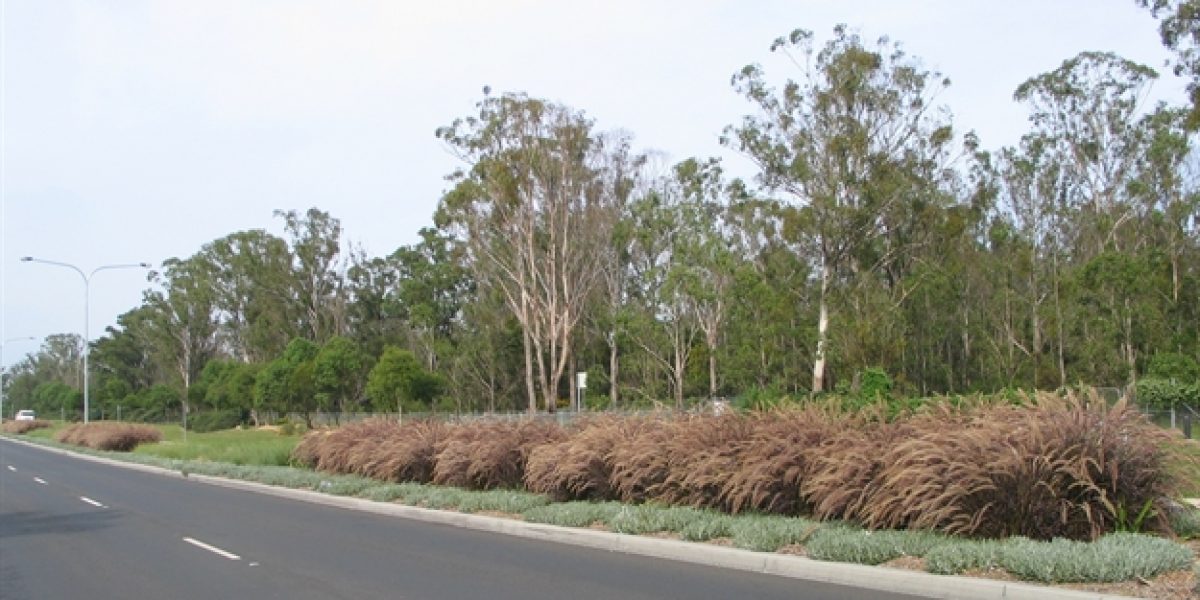 Knox Rd 3