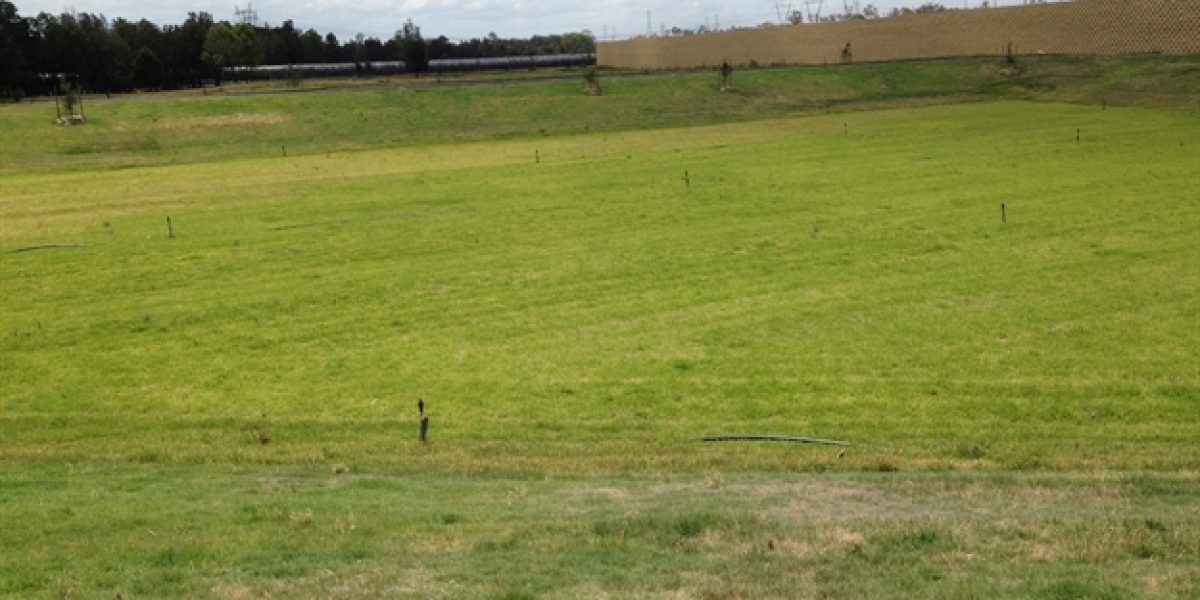 Bioretention Basin Installation 5