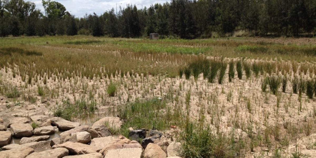 Bioretention Basin Installation 6
